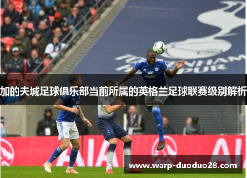 加的夫城足球俱乐部当前所属的英格兰足球联赛级别解析